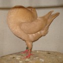 dsc00830