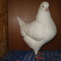 dsc03886