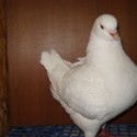 dsc03889