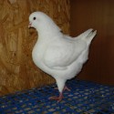dsc03893