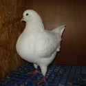 dsc03896