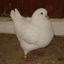dsc03916