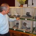 bilder-rom-und-sv-holland-034