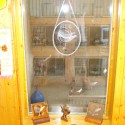tauben-potreck-und-sprehwald-127
