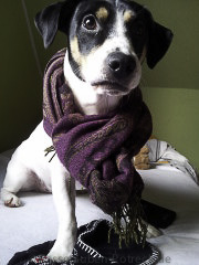 20120102_111843 (2)