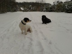 Bilder vom Handy 178