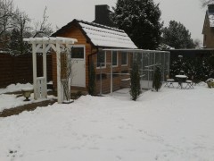 Bilder vom Handy 222