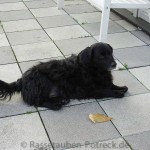 Lucky - tiefendentspannt...